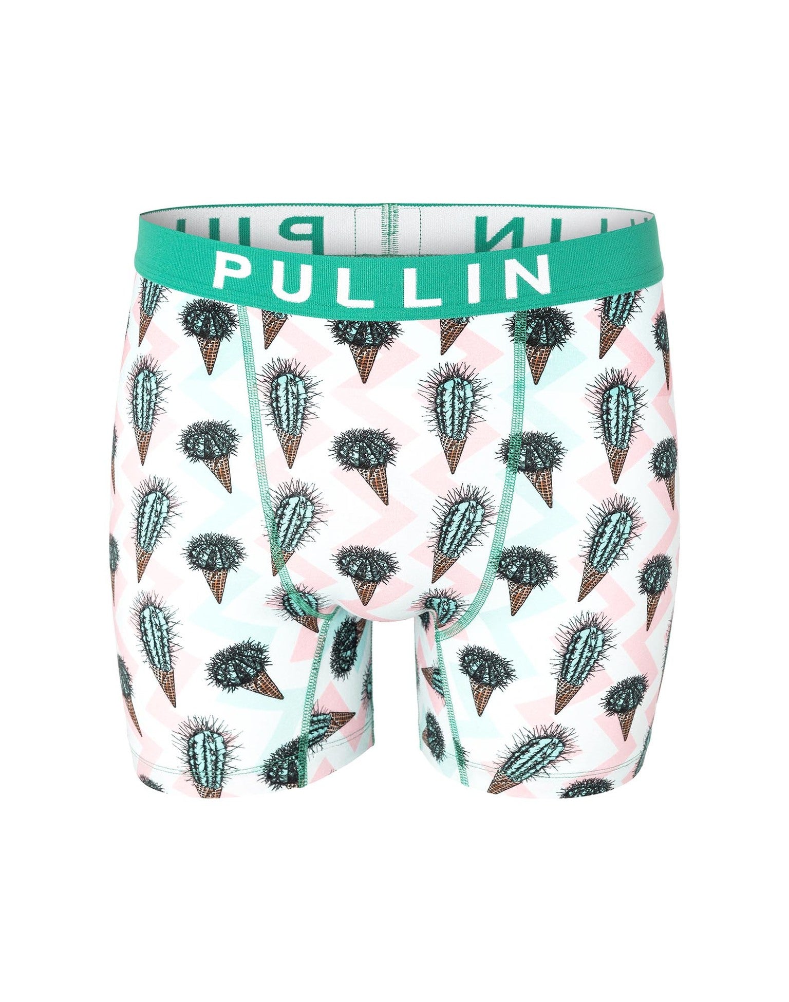 Men’s icetus cactus Print Underwear