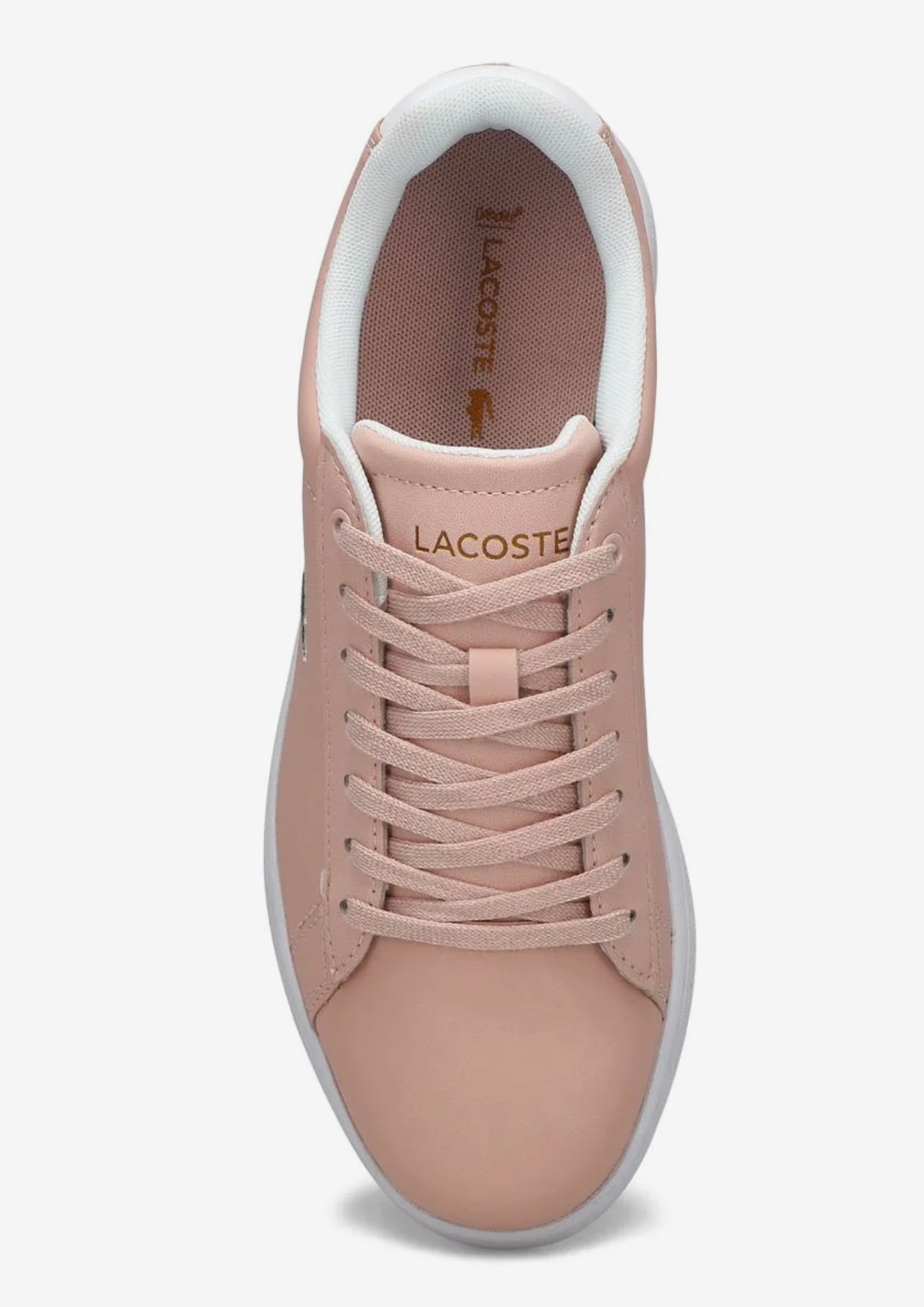 Lacoste carnaby evo clearance pink